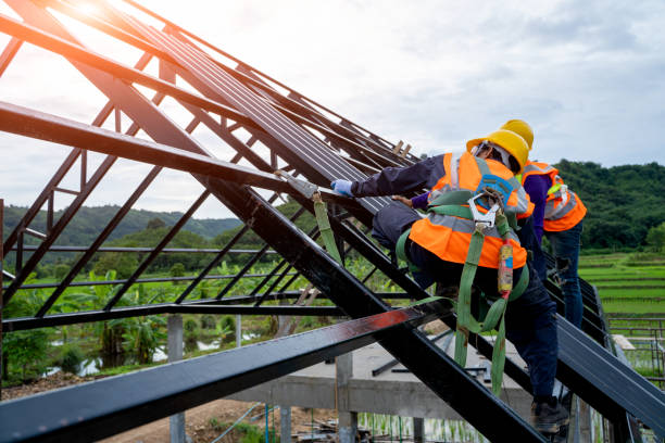 Best New Roof Installation  in Algoma, WI