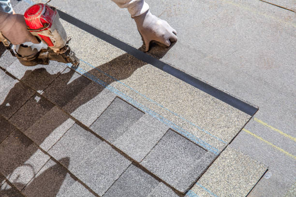 Best Metal Roofing Contractor  in Algoma, WI